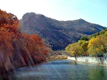 大三巴一肖二码最准，岩峰湿喷机